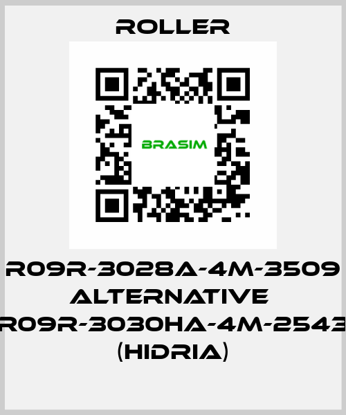 R09R-3028A-4M-3509 alternative  R09R-3030HA-4M-2543 (Hidria) Roller