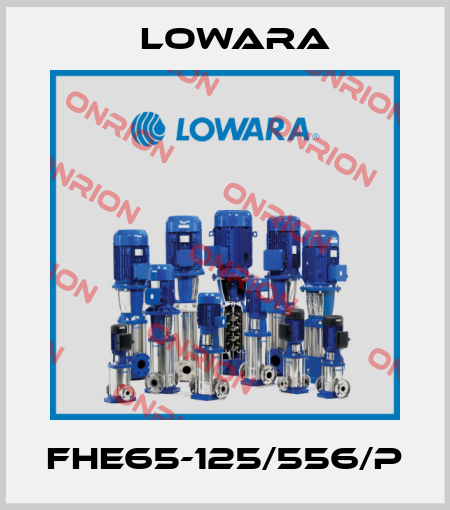 FHE65-125/556/P Lowara