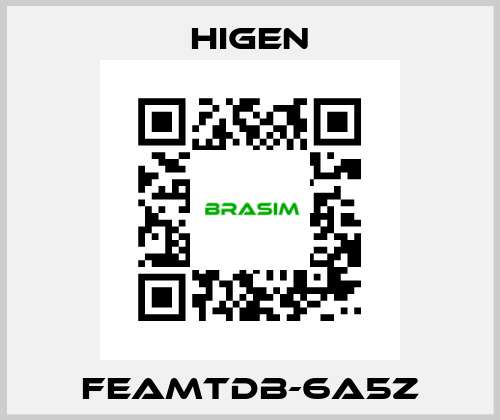 FEAMTDB-6A5Z Higen