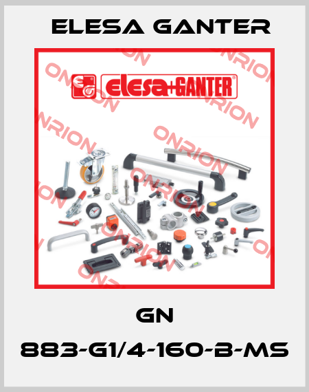 GN 883-G1/4-160-B-MS Elesa Ganter