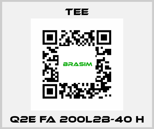 Q2E FA 200L2B-40 H TEE