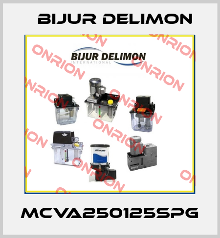 MCVA250125SPG Bijur Delimon