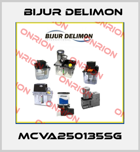 MCVA250135SG Bijur Delimon