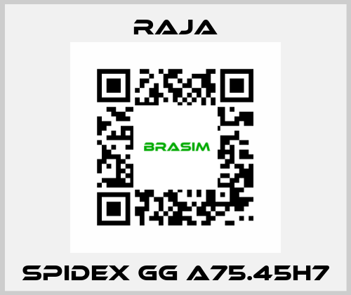 SPIDEX GG A75.45H7 Raja