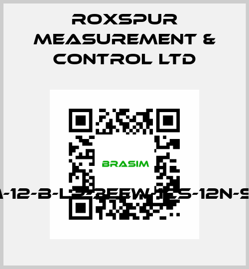 FMM-12-B-LP-3EEW-1CS-12N-S1-D4 Roxspur Measurement & Control Ltd