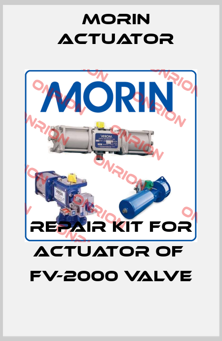 REPAIR KIT FOR ACTUATOR of  FV-2000 VALVE Morin Actuator