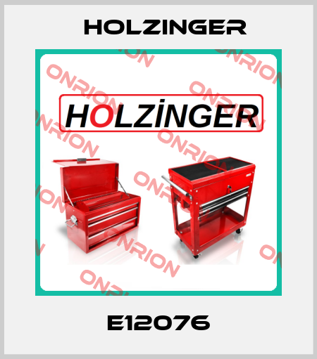 E12076 holzinger