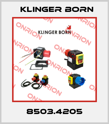 8503.4205 Klinger Born