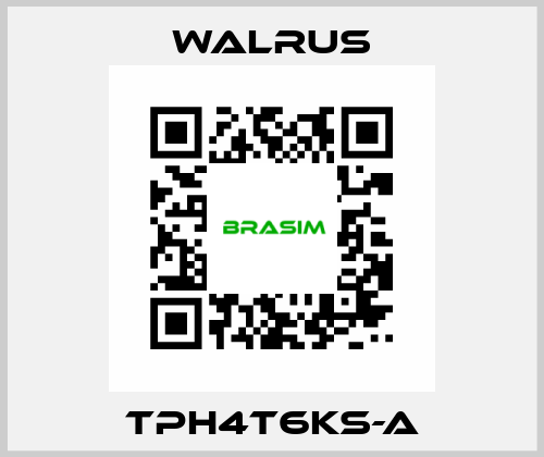TPH4T6KS-A Walrus