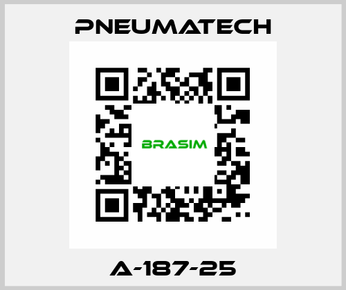 A-187-25 Pneumatech