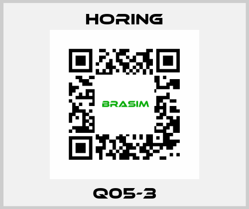 Q05-3 HORING