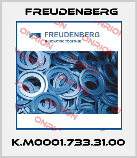 K.M0001.733.31.00 Freudenberg
