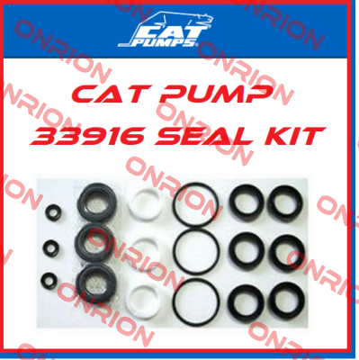 33916 Cat Pumps