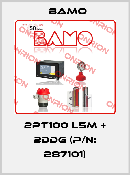 2PT100 L5m + 2DDG (P/N: 287101) Bamo