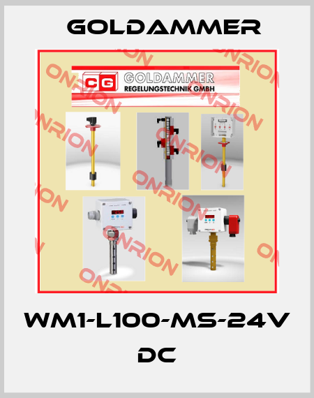 WM1-L100-MS-24V DC Goldammer