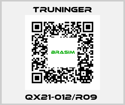 QX21-012/R09  Truninger