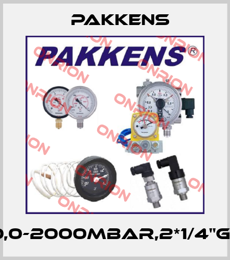 PN100,0-2000MBAR,2*1/4"G(F),LM Pakkens