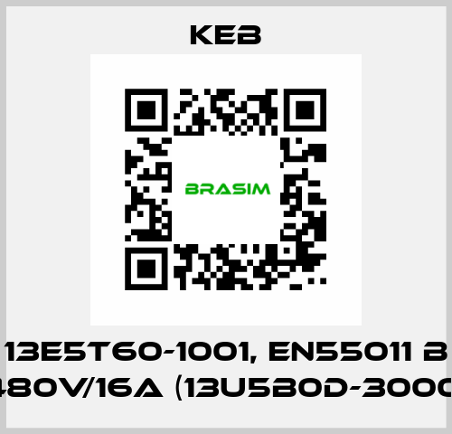 13E5T60-1001, EN55011 B 480V/16A (13U5B0D-3000) KEB