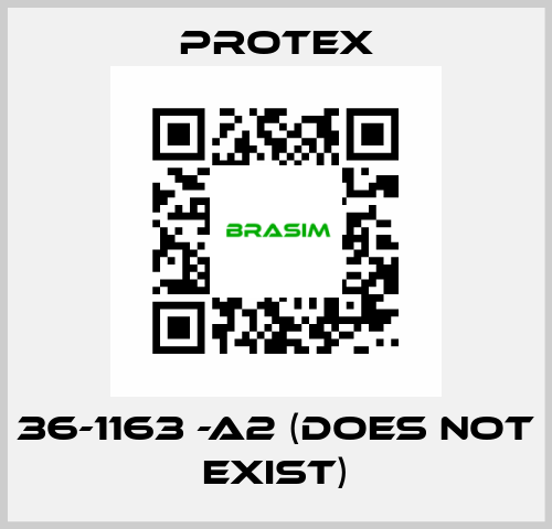 36-1163 -A2 (DOES NOT EXIST) Protex