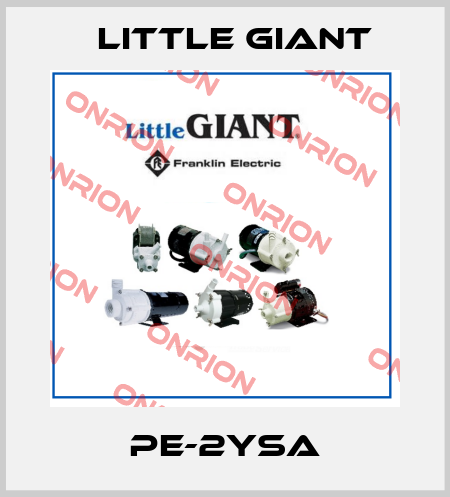 PE-2YSA Little Giant