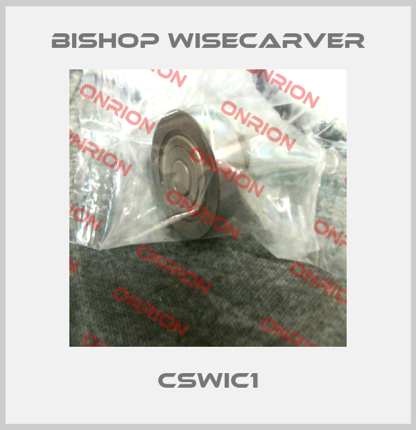 CSWIC1-big