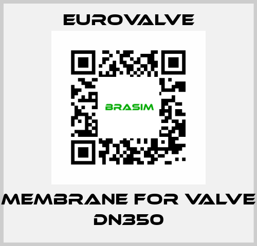 membrane for valve DN350 Eurovalve