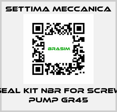 SEAL KIT NBR FOR SCREW PUMP GR45 Settima Meccanica