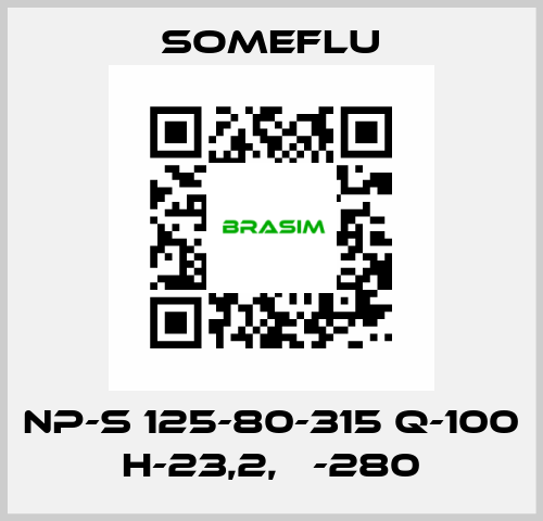 NP-S 125-80-315 Q-100 H-23,2, Ф-280 SOMEFLU