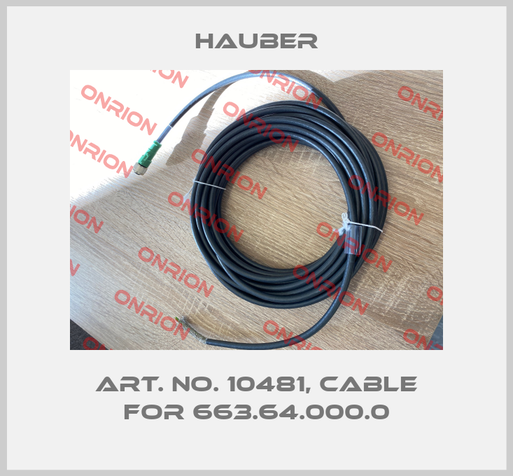 Art. No. 10481, cable for 663.64.000.0-big