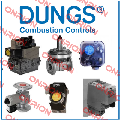 213796 IP54 OEM Dungs