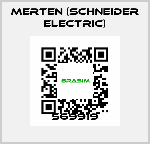 569919 Merten (Schneider Electric)