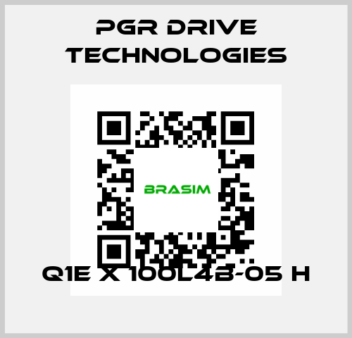 Q1E X 100L4B-05 H PGR Drive Technologies