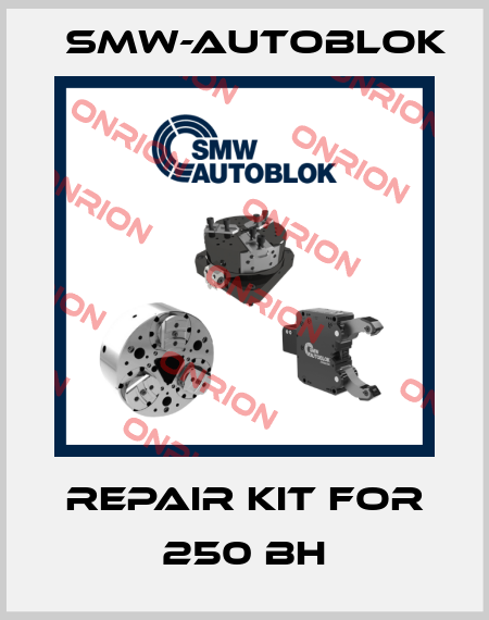 Repair kit for 250 BH Smw-Autoblok
