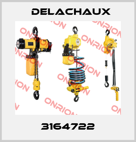 3164722 Delachaux