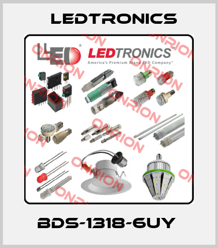 BDS-1318-6UY  LEDTRONICS