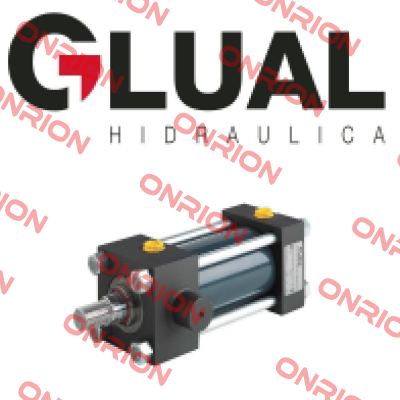 CAV1 21000001.000 Glual Hydraulics