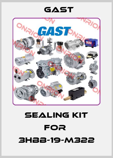 Sealing kit for  3HBB-19-M322 Gast