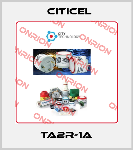 TA2R-1A Citicel