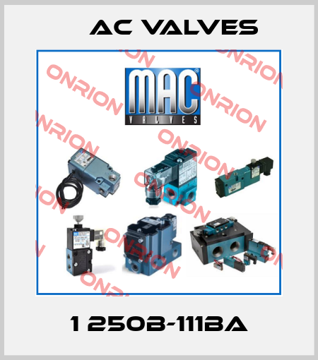 1 250B-111BA МAC Valves