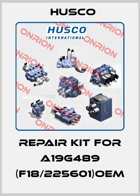 repair kit for A19G489 (F18/225601)OEM Husco