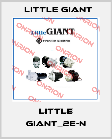 LITTLE GIANT_2E-N Little Giant