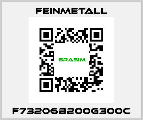 F73206B200G300C FEINMETALL