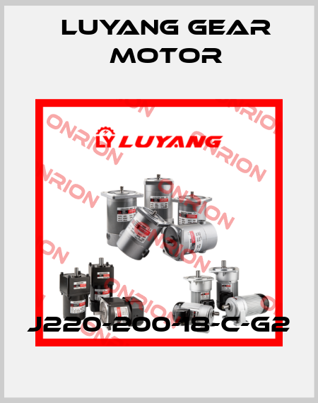 J220-200-18-C-G2 Luyang Gear Motor