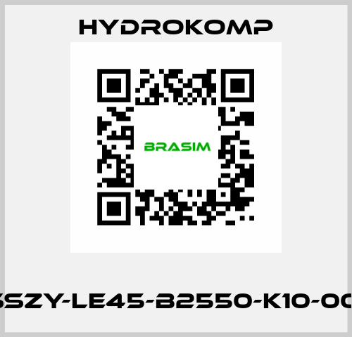       SSZY-LE45-B2550-K10-001 HYDROKOMP