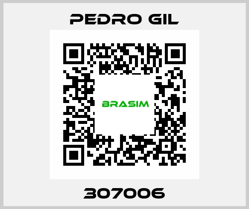 307006 PEDRO GIL