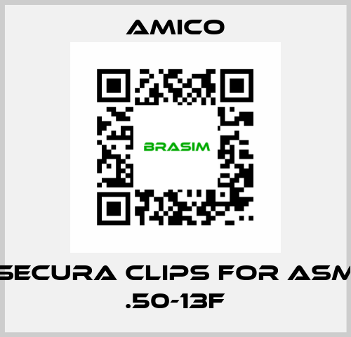 Secura Clips for ASM .50-13F AMICO