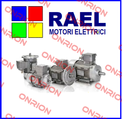 motor enclosure in Ex db, terminal box in E RAEL MOTORI ELETTRICI