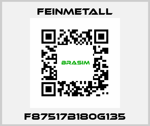 F87517B180G135 FEINMETALL