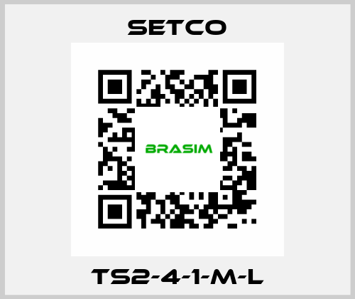 TS2-4-1-M-L SETCO