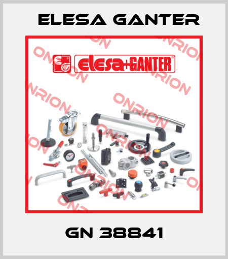 GN 38841 Elesa Ganter